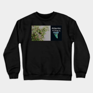 Beach Plants and Shark Teeth Crewneck Sweatshirt